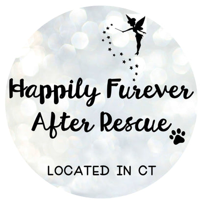 Happily Furever After Rescue in Bethel, 501 | Clear The Shelters 2022 image