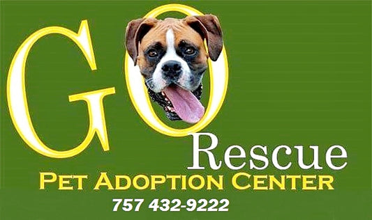 GO RESCUE, Inc (Pet Adoption Center) in Norfolk, 544 | Clear The Shelters 2022 image