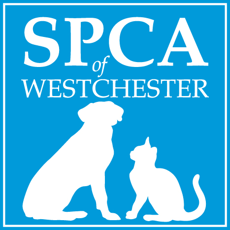 SPCA of Westchester in Briarcliff Manor, NY | Clear The Shelters image