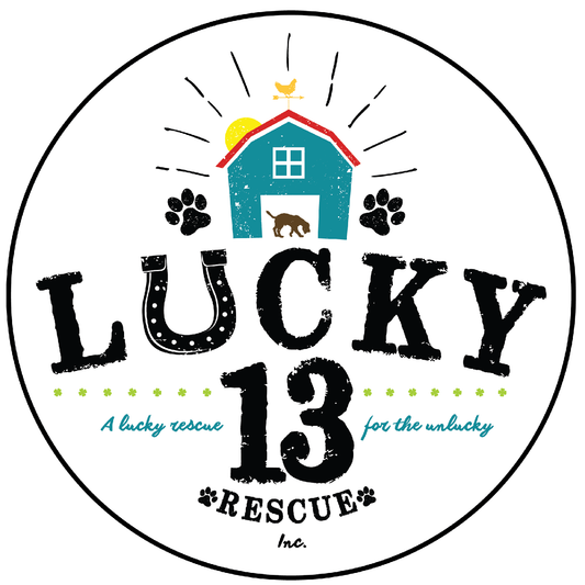 Lucky 13 Rescue Inc in Kansas City, MO | Clear The Shelters image