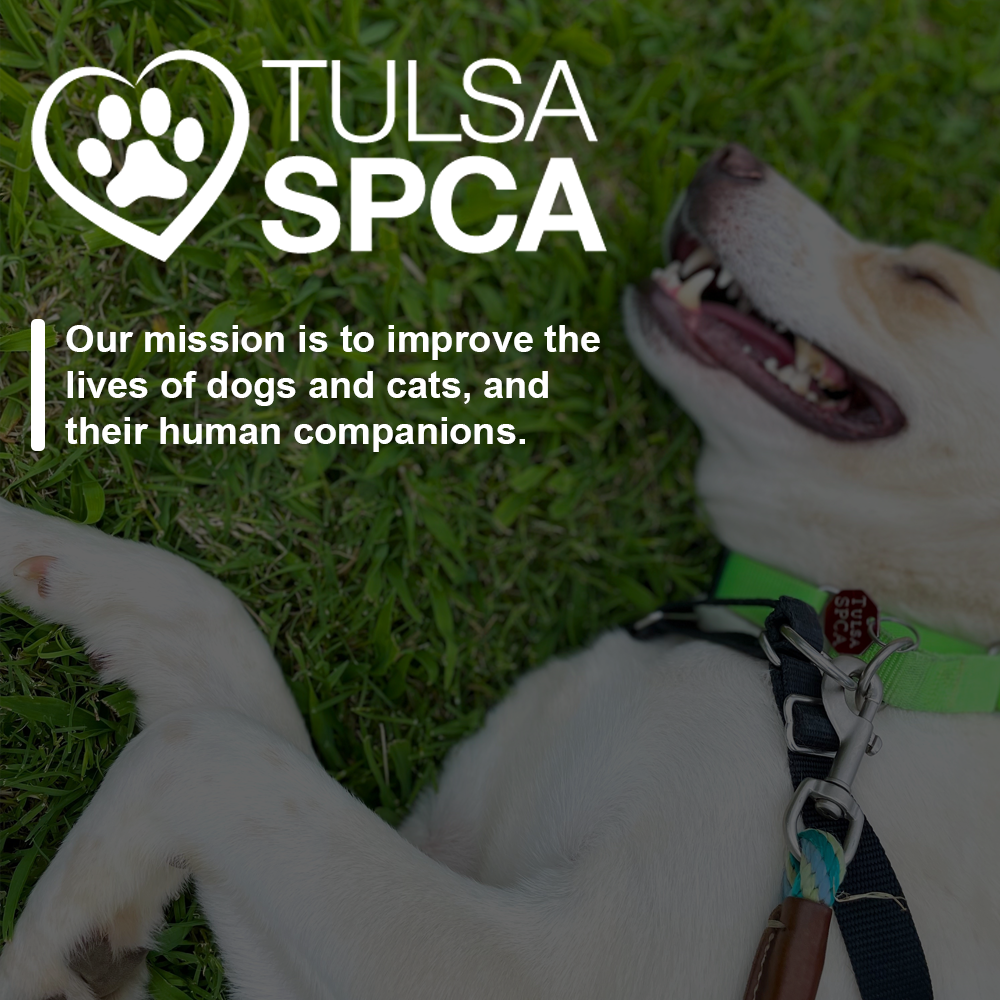 Tulsa SPCA in Tulsa, OK | Clear The Shelters image