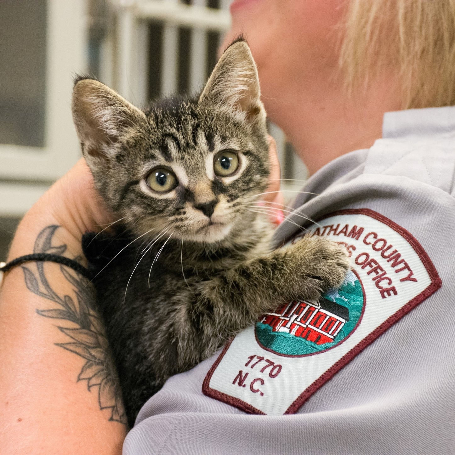 Chatham Sheriff's Animal Resource Center in Pittsboro, NC | Clear The Shelters 2022 image