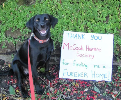 McCook Humane Society in Mccook, NE | Clear The Shelters image