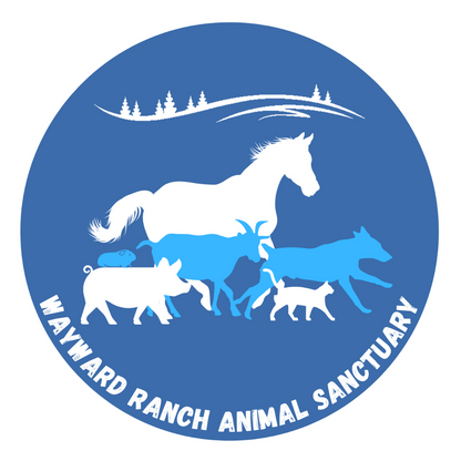 Wayward Ranch Animal Sanctuary, Inc. in Kerhonkson, 501 | Clear The Shelters 2022 image