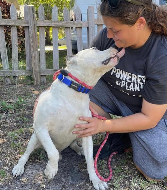 Compassion Kind Foundation in Gulfport, FL | Clear The Shelters image