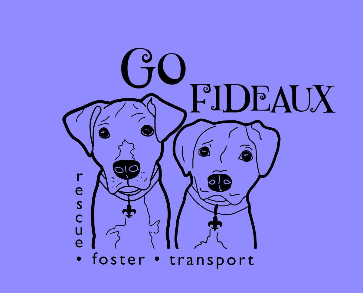 Go Fideaux Rescue in Baton Rouge, 716 | Clear The Shelters 2022 image