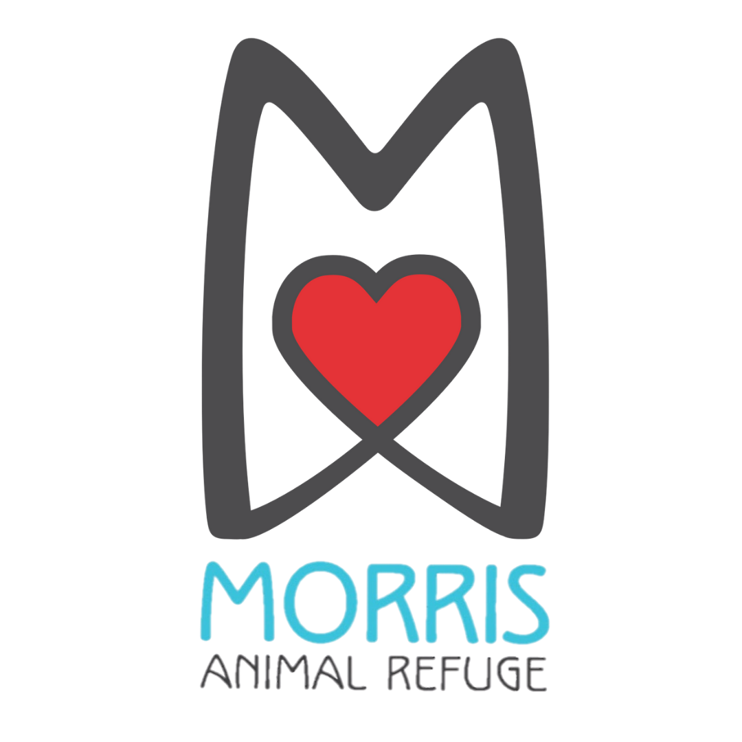 Morris Animal Refuge in Philadelphia, 504 | Clear The Shelters 2022 image