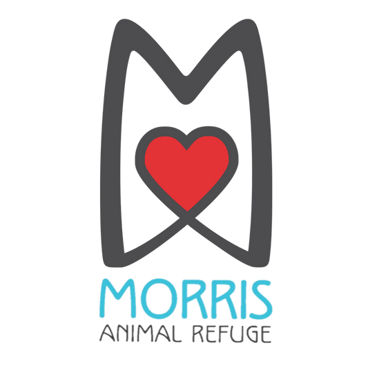 Morris Animal Refuge in Philadelphia, 504 | Clear The Shelters 2022 image