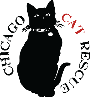 Chicago Cat Rescue in Chicago Cat Rescue, IL | Clear The Shelters image