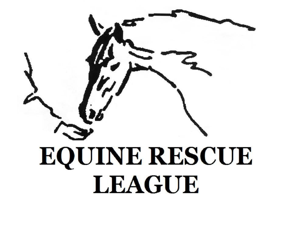Equine Rescue League in Leesburg, VA | Clear The Shelters image