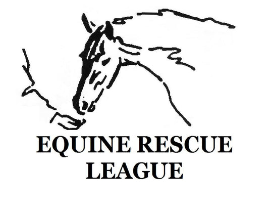 Equine Rescue League in Leesburg, VA | Clear The Shelters image