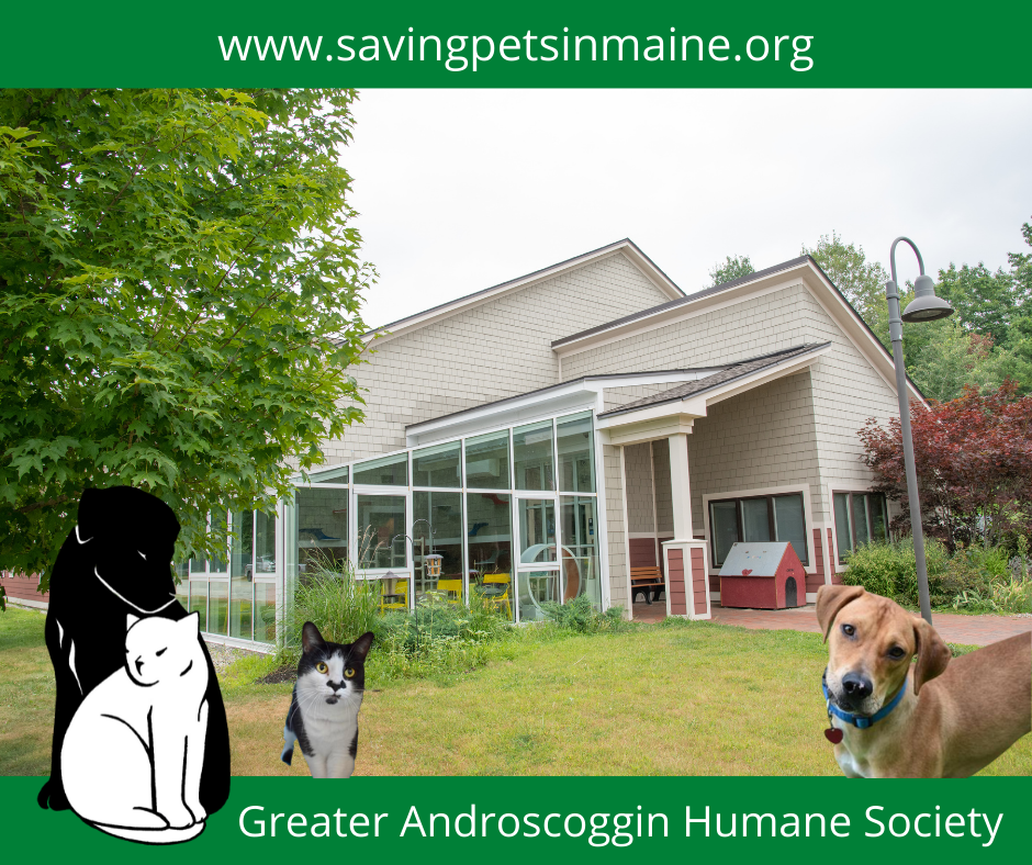 Greater Androscoggin Humane Society in Lewiston, ME | Clear The Shelters image