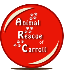 Animal Rescue of Carroll, Inc in Carroll, 679 | Clear The Shelters 2022 image