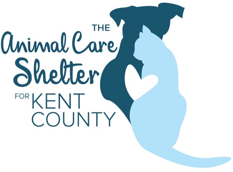 The Animal Care Shelter for Kent County in Chestertown, 512 | Clear The Shelters 2022 image