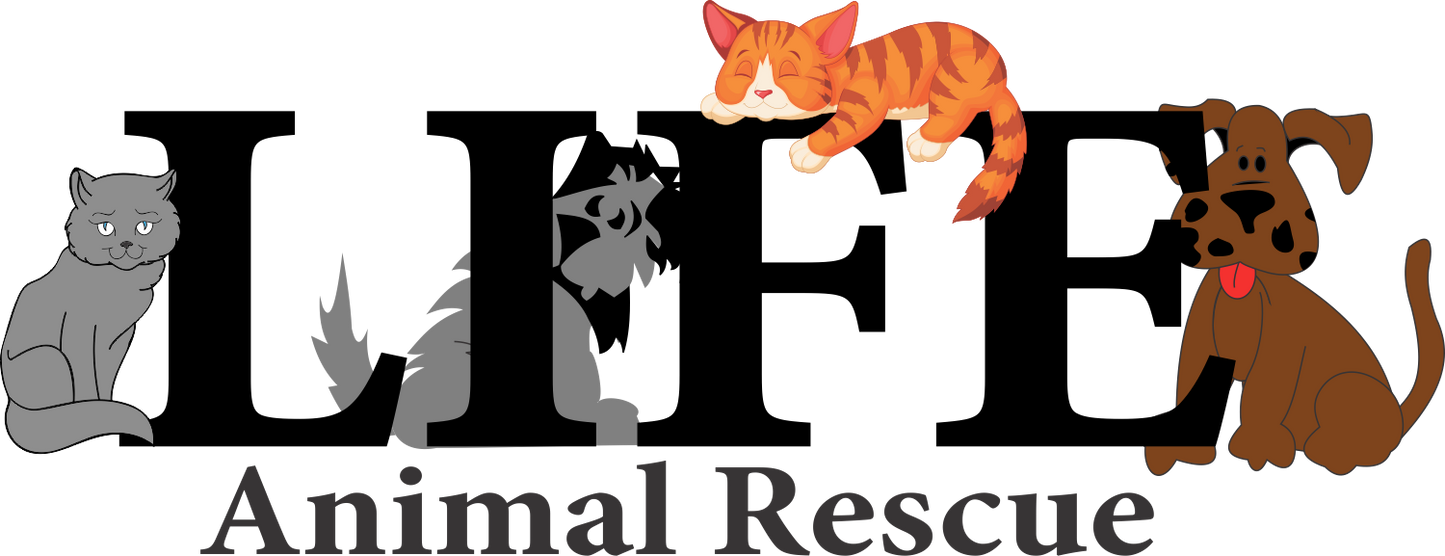 L.I.F.E. Animal Rescue in Agoura Hills, 803 | Clear The Shelters 2022 image