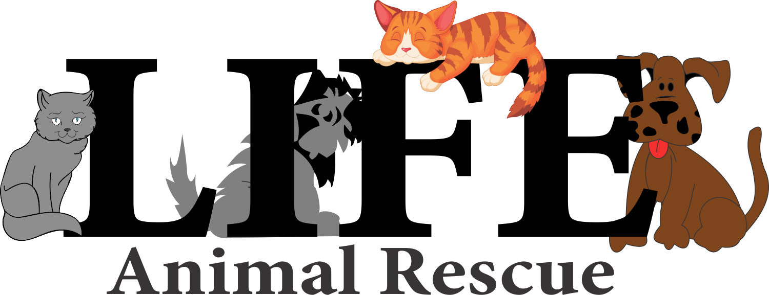 L.I.F.E. Animal Rescue in Agoura Hills, 803 | Clear The Shelters 2022 image