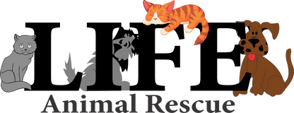 L.I.F.E. Animal Rescue in Agoura Hills, 803 | Clear The Shelters 2022 image