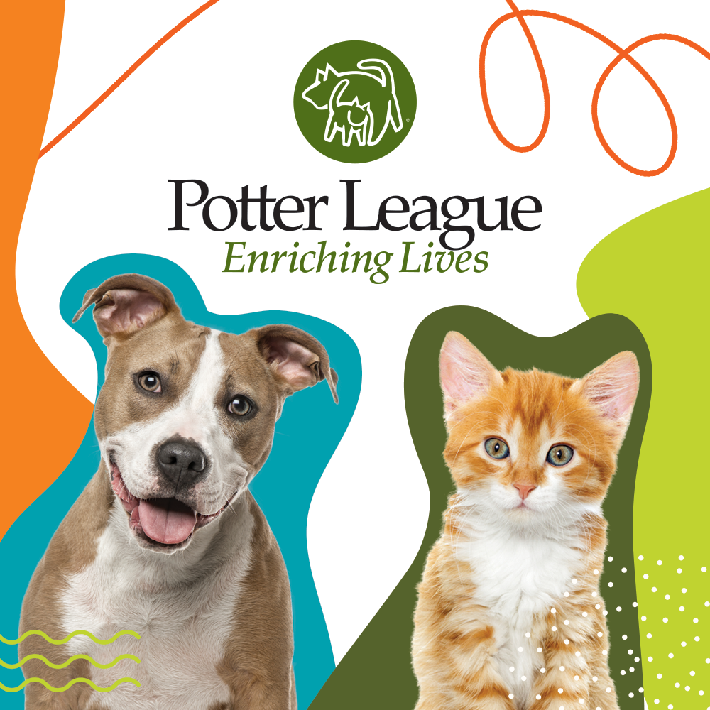 Potter League for Animals in Middletown, 521 | Clear The Shelters 2022 image