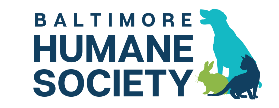 Baltimore Humane Society in Reisterstown, 512 | Clear The Shelters 2022 image