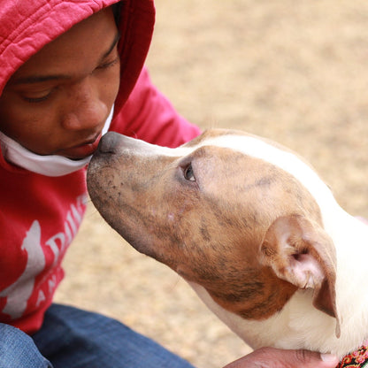 Philadelphia Animal Welfare Society (PAWS) in Philadelphia, 504 | Clear The Shelters 2022 image