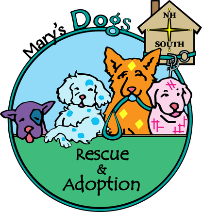 Mary's Dogs Rescue & Adoption in Northwood, 506 | Clear The Shelters 2022 image
