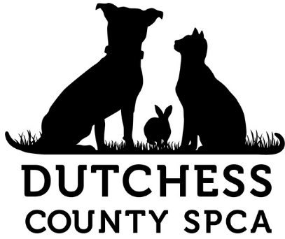 Dutchess County SPCA in Hyde Park, 501 | Clear The Shelters 2022 image