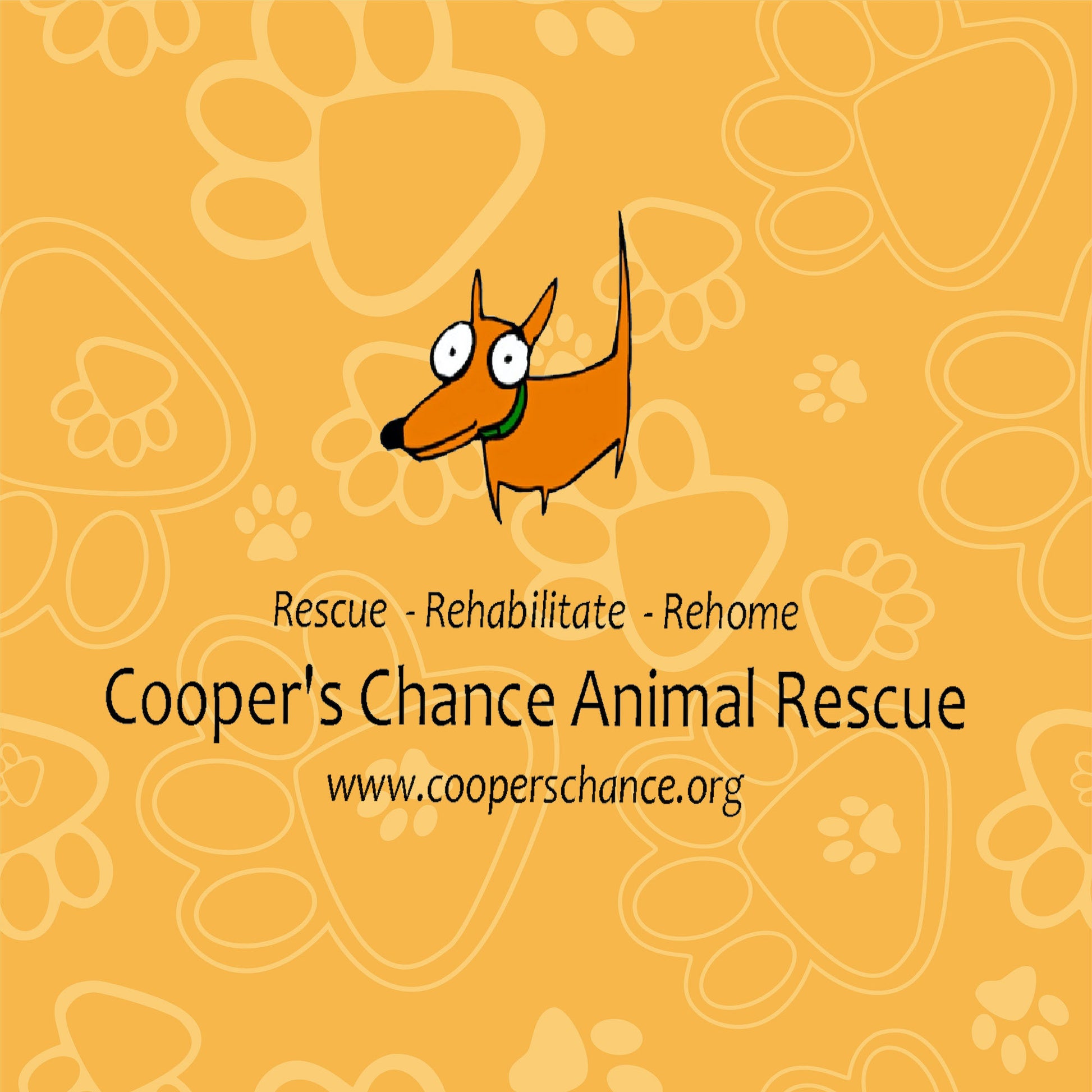 Cooper's Chance Animal Rescue in Gilbert, AZ | Clear The Shelters image