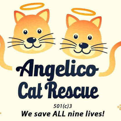 Angelico Cat Rescue, Inc. in Lauderhill, FL | Clear The Shelters image