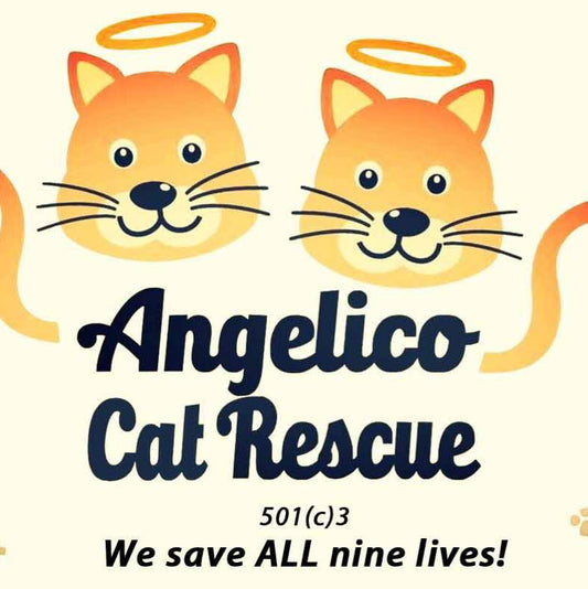 Angelico Cat Rescue, Inc. in Lauderhill, FL | Clear The Shelters image