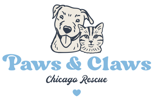 Paws and Claws Chicago Rescue in Evanston , 602 | Clear The Shelters 2022 image