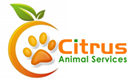 Citrus County Animal Services  in Inverness, 539 | Clear The Shelters 2022 image