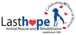 Last Hope Animal Rescue Inc. in Wantagh, NY | Clear The Shelters image