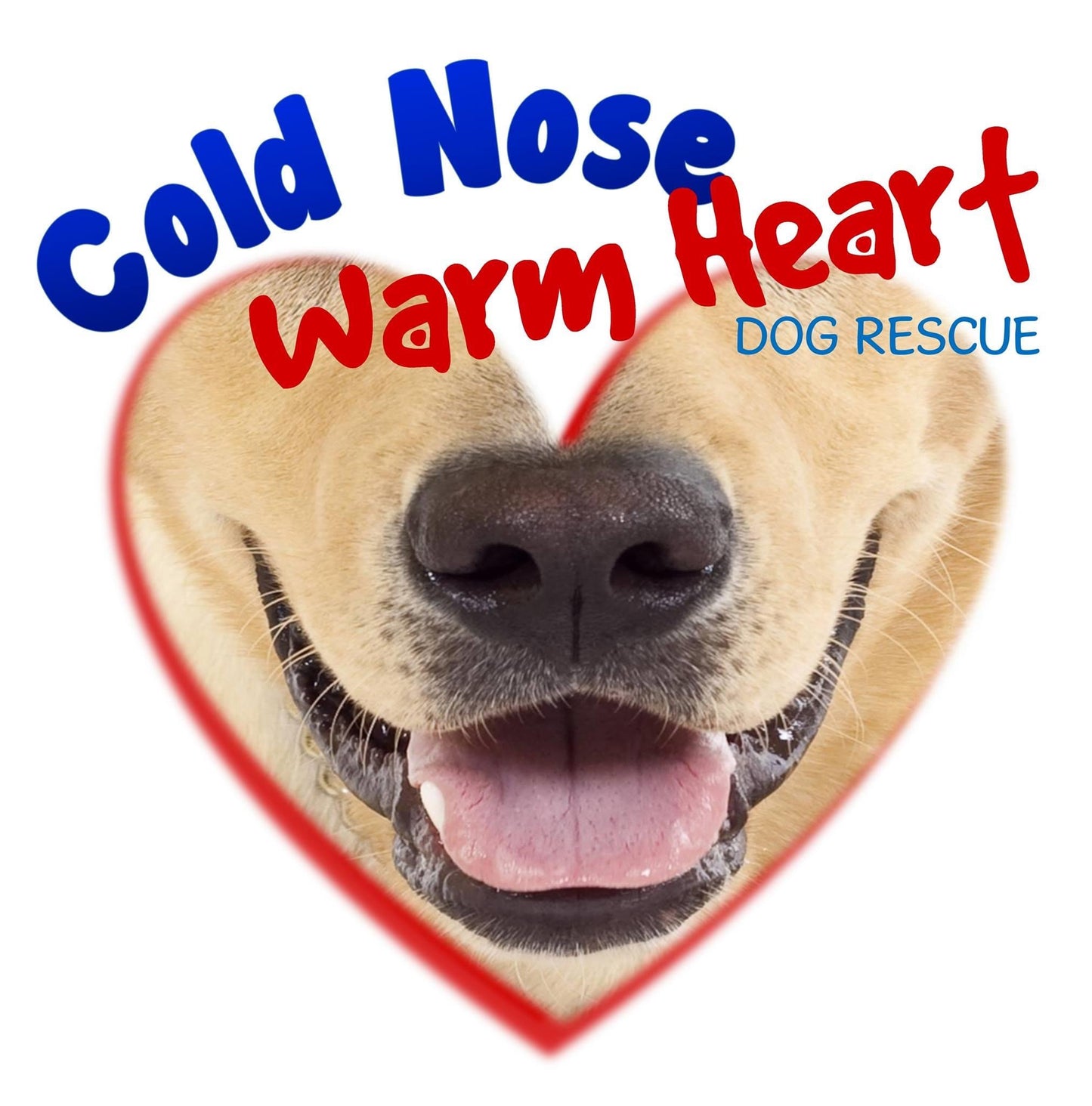 Cold Nose Warm Heart  in Newton, 501 | Clear The Shelters 2022 image