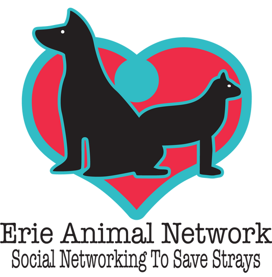 Erie Animal Network in Erie, 516 | Clear The Shelters 2022 image