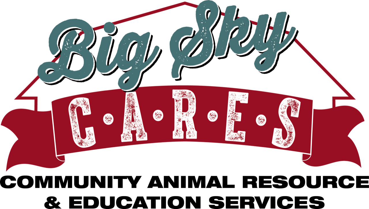 Big Sky CARES in Folsom, 622 | Clear The Shelters 2022 image