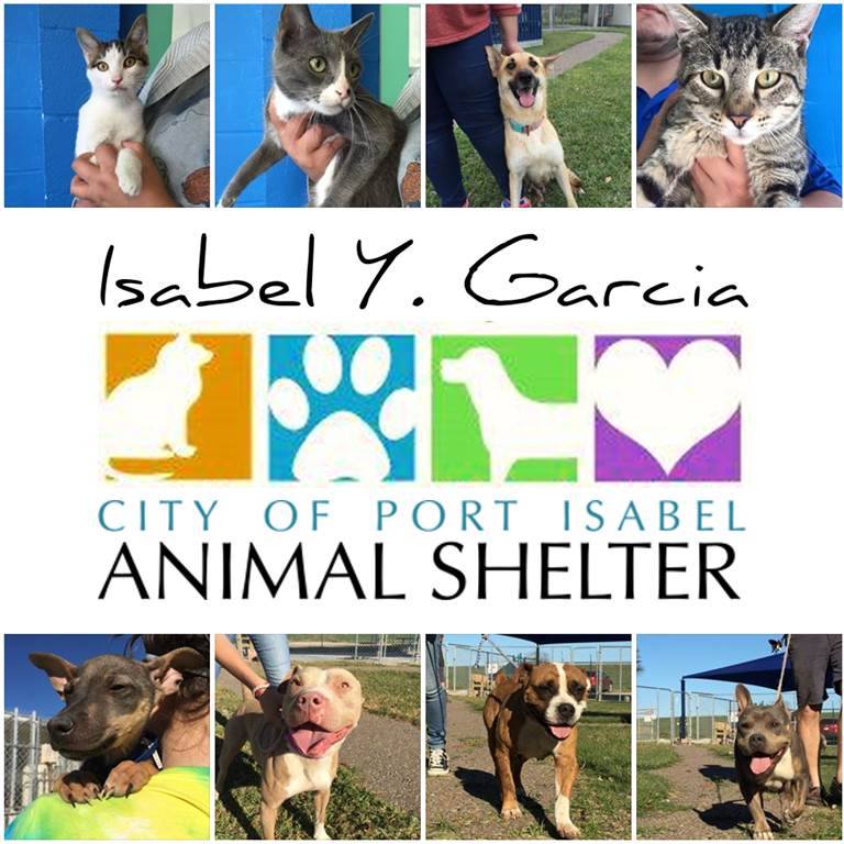 Isabel Y. Garcia Animal Shelter in Port Isabel, TX | Clear The Shelters image