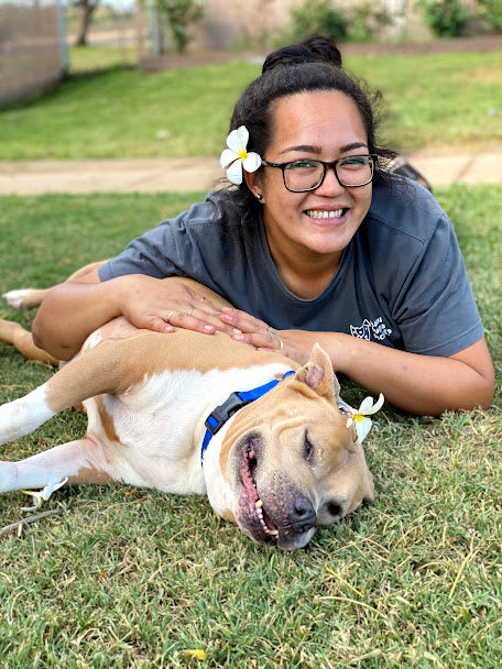 Maui Humane Society in Puunene, 744 | Clear The Shelters 2022 image