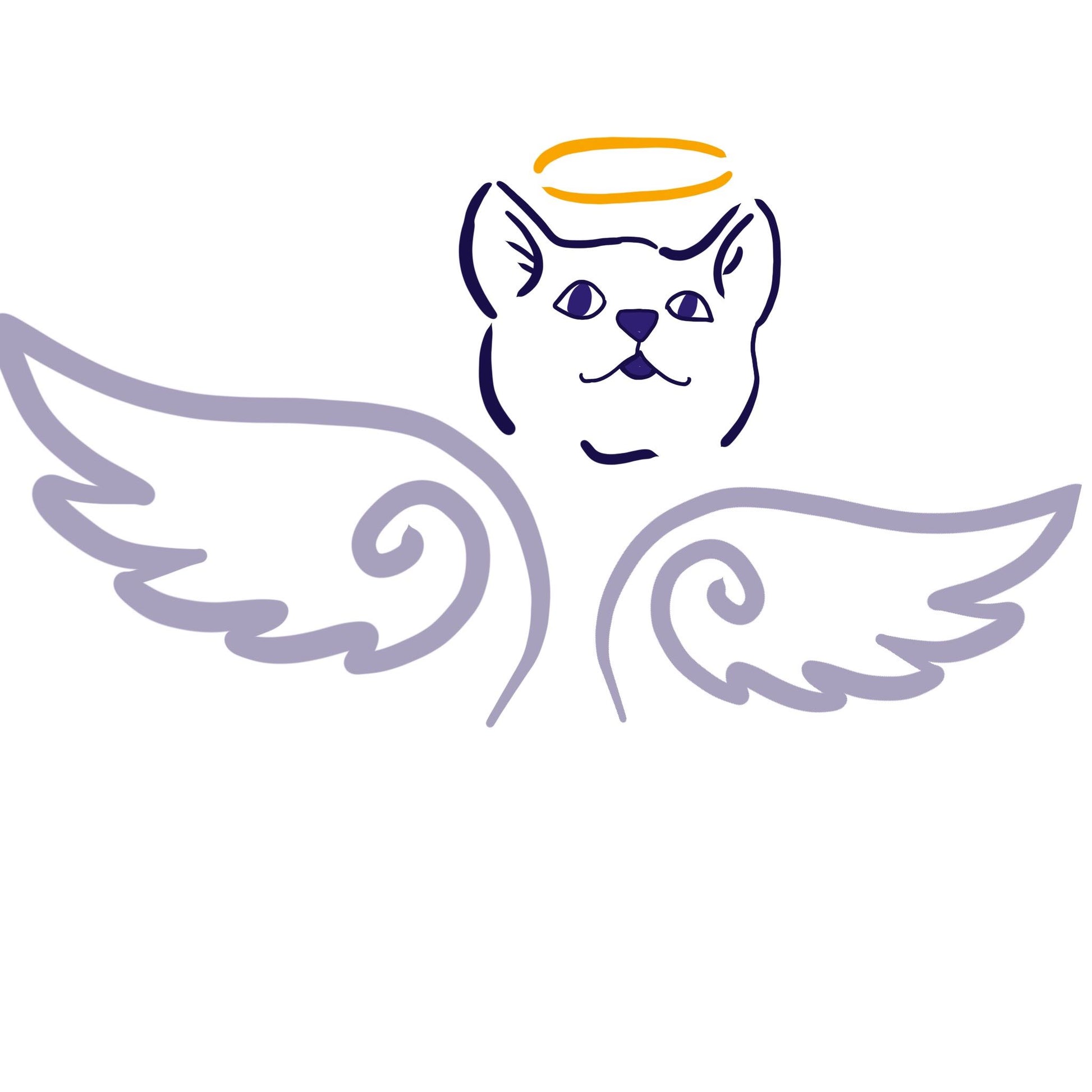 Kitten Angels in Schenectady, NY | Clear The Shelters image