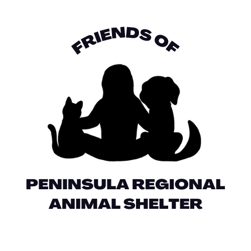 Peninsula Regional Animal Shelter in Newport News, 544 | Clear The Shelters 2022 image