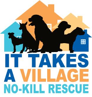 It Takes A Village Rescue in Evansville, 649 | Clear The Shelters 2022 image