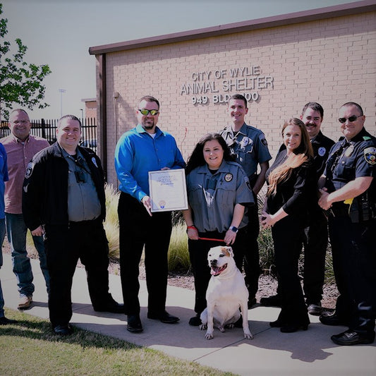 City of Wylie Animal Shelter  in Wylie, 623 | Clear The Shelters 2022 image