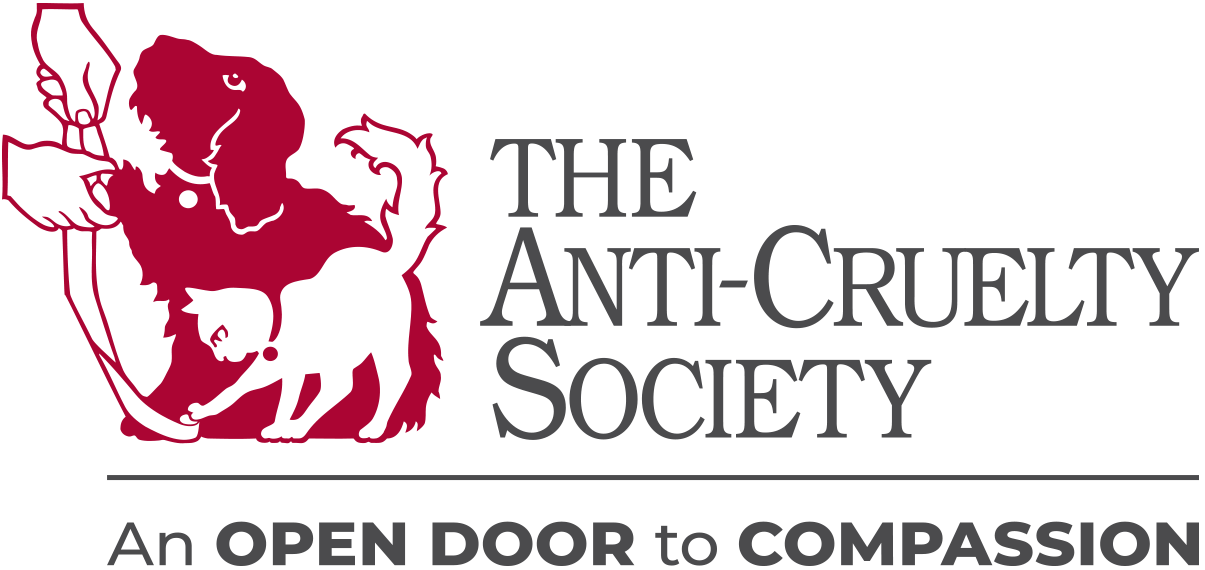 The Anti-Cruelty Society in Chicago, 602 | Clear The Shelters 2022 image