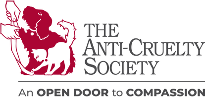 The Anti-Cruelty Society in Chicago, 602 | Clear The Shelters 2022 image