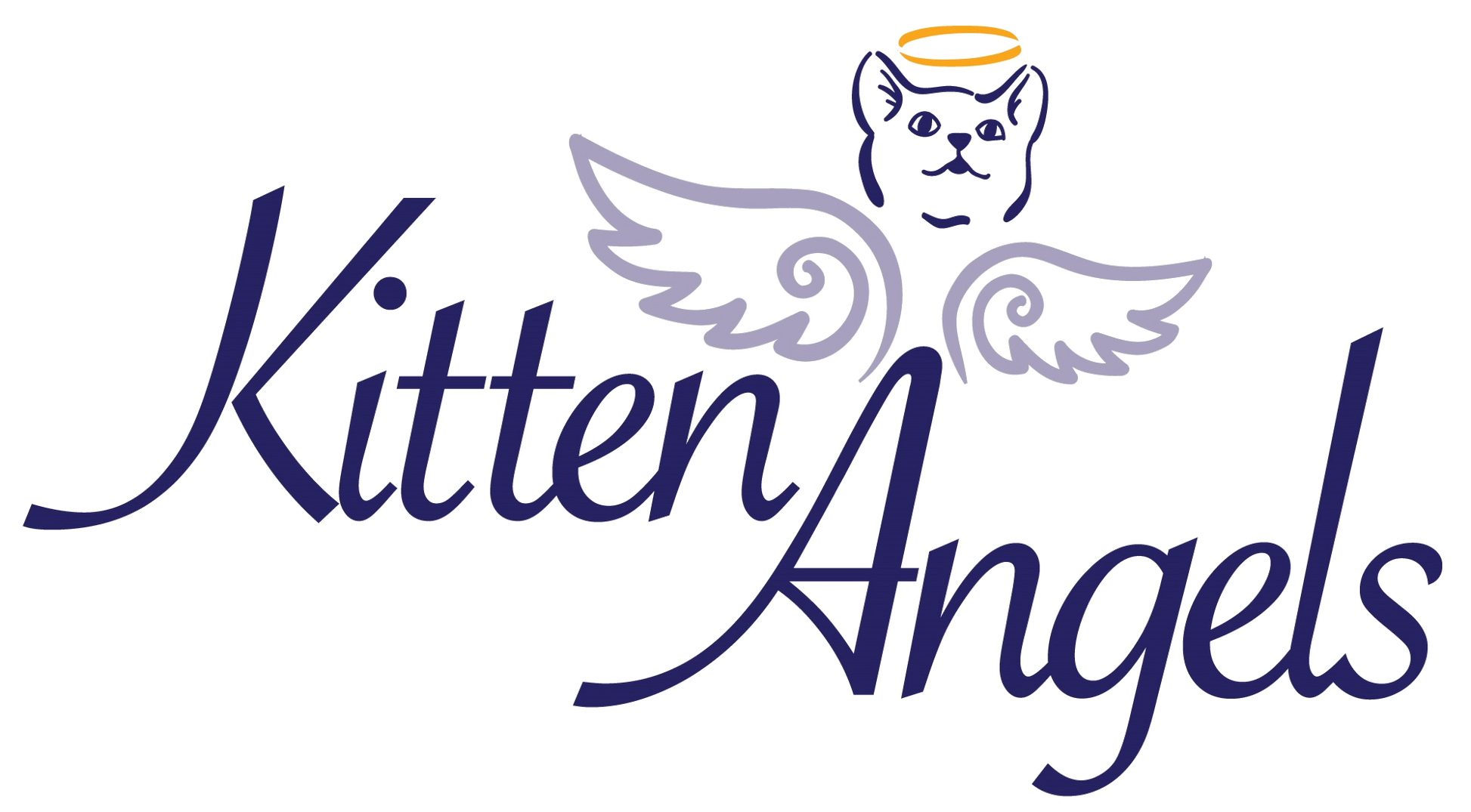 Kitten Angels in Mayfield, 532 | Clear The Shelters 2022 image