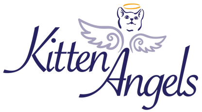 Kitten Angels in Mayfield, 532 | Clear The Shelters 2022 image
