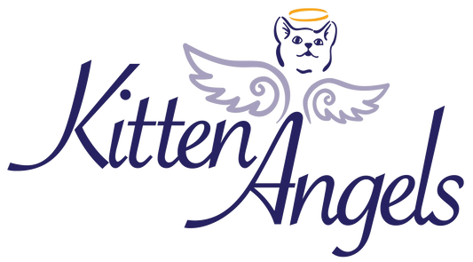 Kitten Angels in Mayfield, 532 | Clear The Shelters 2022 image