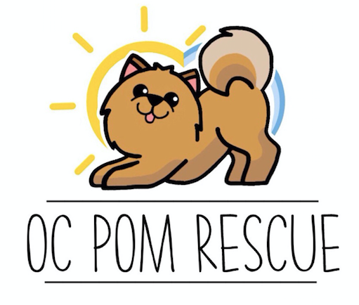 OC Pom Rescue  in Placentia , CA | Clear The Shelters image