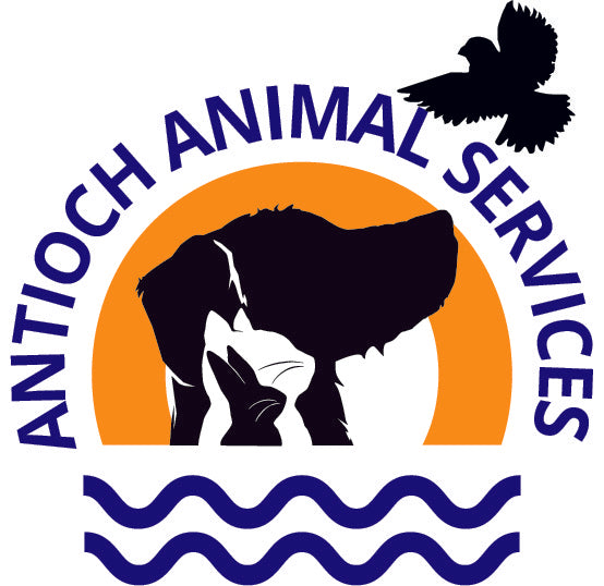 Antioch Animal Services in Antioch, CA | Clear The Shelters image