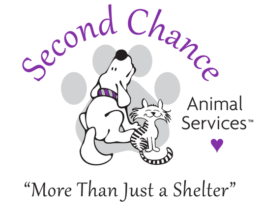 Second Chance Animal Services in East Brookfield, MA | Clear The Shelters image