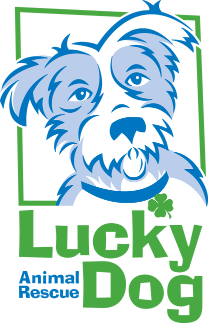 Lucky Dog Animal Rescue in Arlington, VA | Clear The Shelters 2022 image